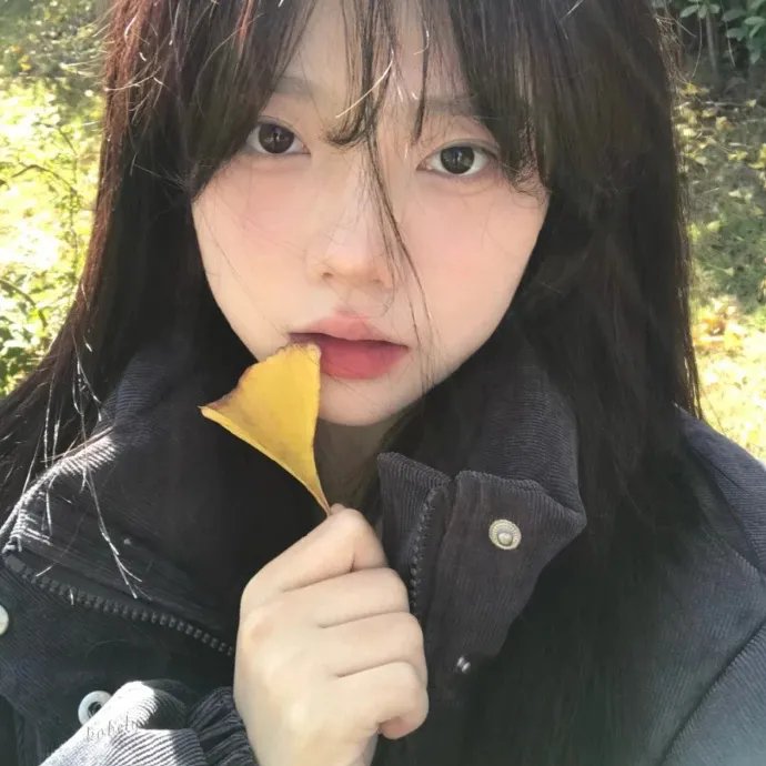 壳中少女：排气
